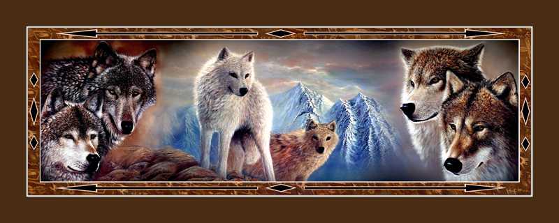 Two Wolves Artic Wolf horz